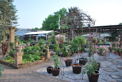 Blumen Egelhof GmbH & Co. KG