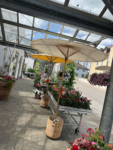 Schöberl Blüten und Blätter