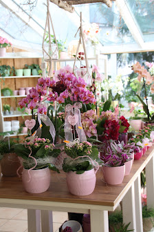 Connys Blumenstube Inh. Cornelia Woiton e.K.