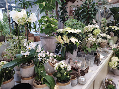 Blumen Söhner