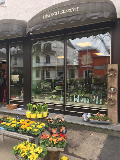 Blumen-Specht