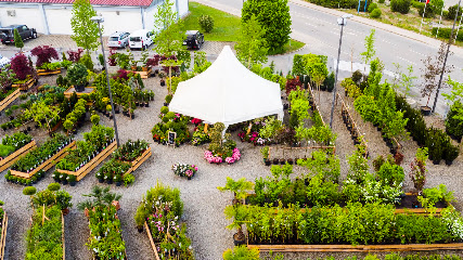 Wölfle Garten- und Landschaftsbau Pflanzenverkauf