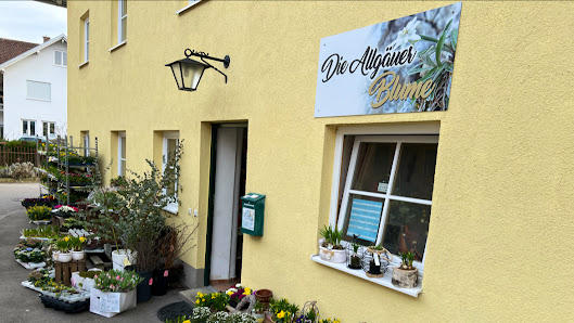Die Allgäuer Blume