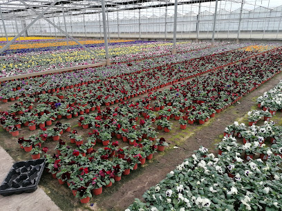 Meyer Gartenbau