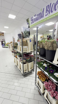 Holland Bloemen Shops UG
