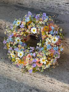 Wildblume Floristik - Susi Kraut