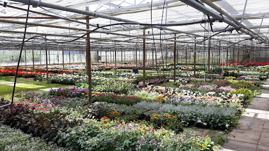 Beeken Gartenbau