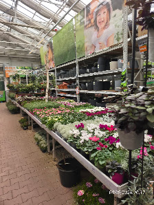 OBI Gartenplaner Sonthofen