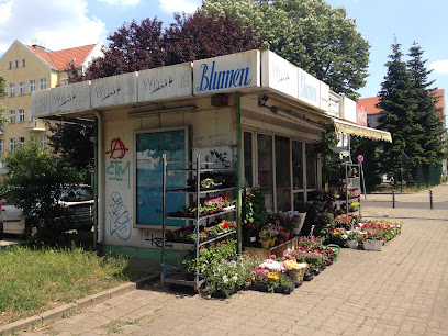 Blumen