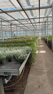 Gärtnerei Blumenhof Kefer