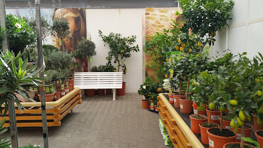 Dehner Garten-Center