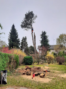 Garten und Baumpflege Kleppi