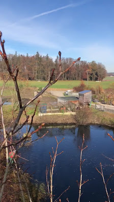Zaubergarten - Ludwig Ried