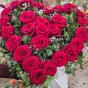 Blumen Sterflinger