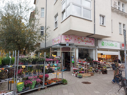 Blumenladen Pflanzen