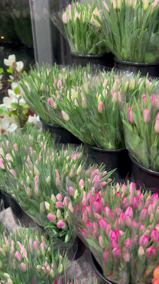 florali Waitzstraße - Blumen in Othmarschen