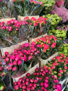 florali Waitzstraße - Blumen in Othmarschen