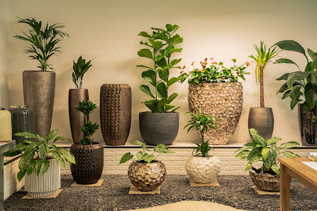 Green Garden powered by Muki´s Plant und Plan