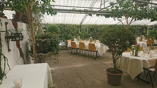 Glashaus Blumen Ehrich