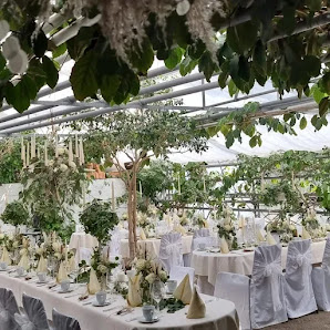 Glashaus Blumen Ehrich