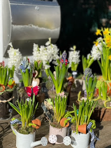 Blumen Kunz e.K.
