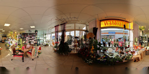 Dagmar Götz Blumenfachgeschäft (Blumen Galerie)