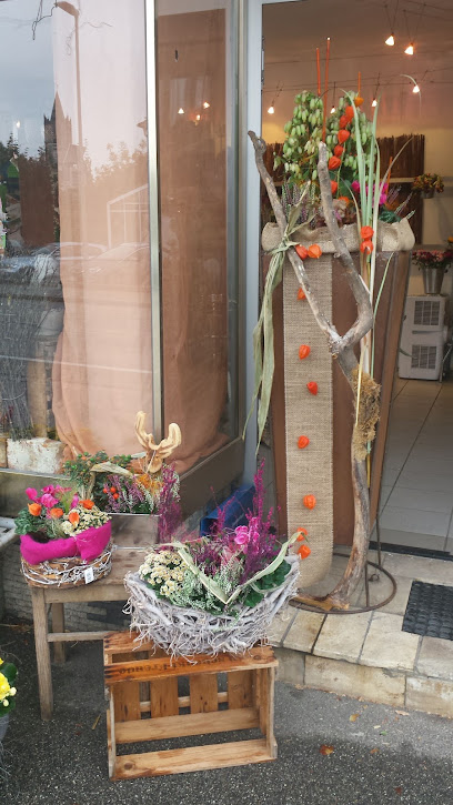 Galerie ....Blume sucht Vase.