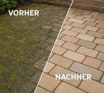 Grünpflege Canolli Bau & Garten