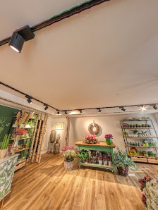 Salon Grün