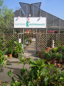 Gärtnerei Auernhammer