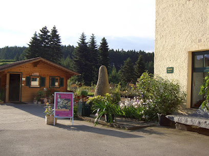 Baumschule