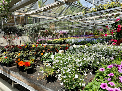 Blumen Amberger