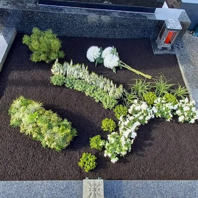 Blumen Bucher