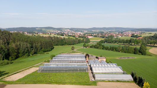 Gärtnerei Sturm