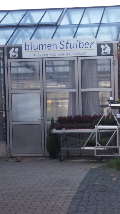 Blumen Stuiber