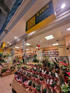 Blumen Paradies