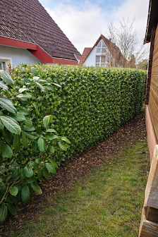 Alex Hausmeister & Gartenpflege