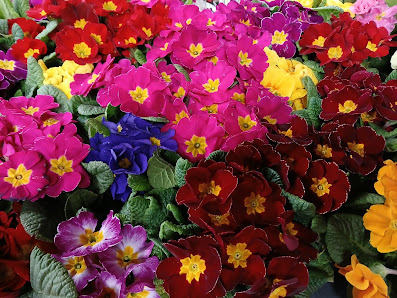 Margits Blumenstübchen