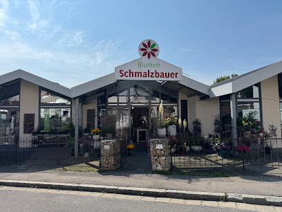 Blumen Schmalzbauer