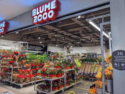 BLUME2000 Hamburg Elbe Einkaufszentrum