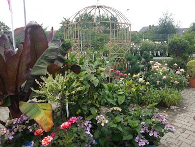 Gärtnerei Biller Blumen - Pflanzen - Floristik