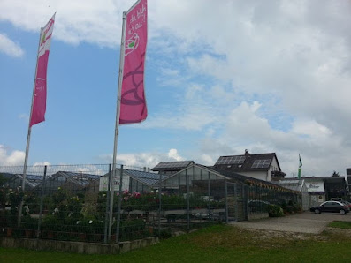 Gärtnerei Biller Blumen - Pflanzen - Floristik