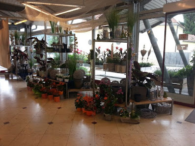 Gärtnerei Biller Blumen - Pflanzen - Floristik