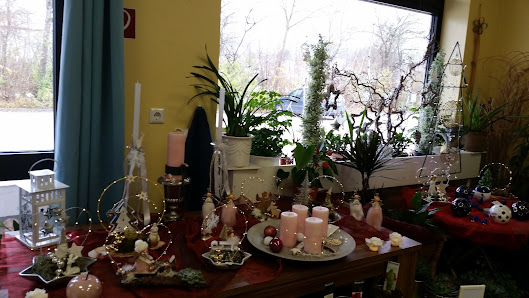 Casa Flor
