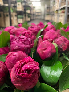 BV Blumen GmbH