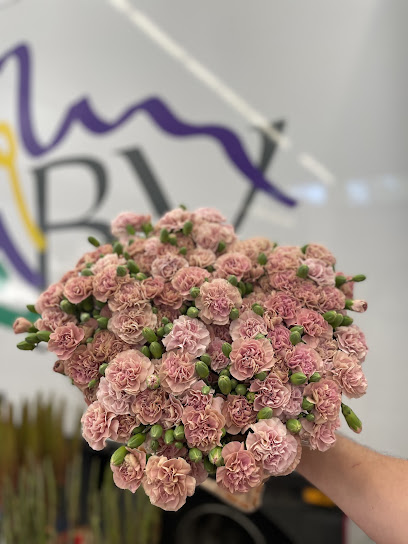 BV Blumen GmbH