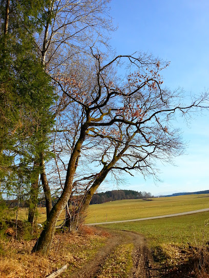 Landschaftsgestalter