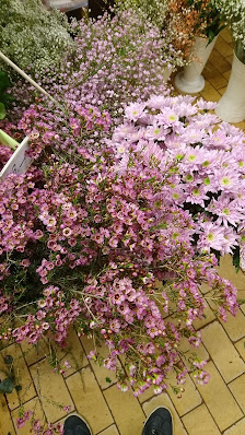 Blumenstüberl Stephanie Steinberger