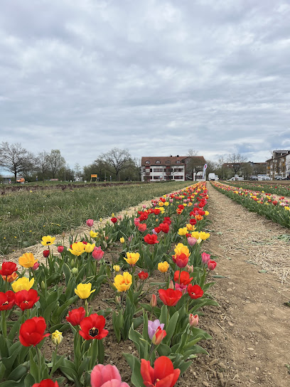 Blumengeschäft