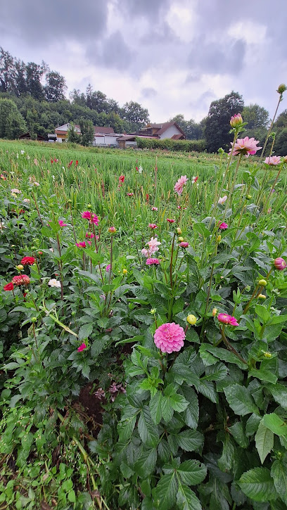 Blumen selber pflücken Herrsching
